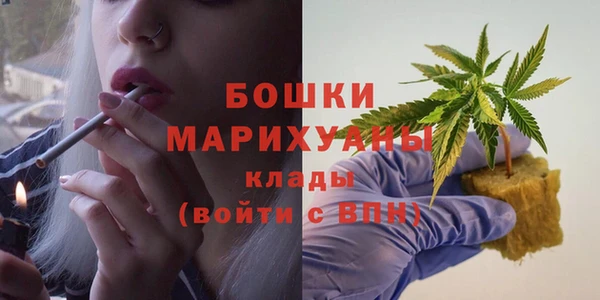 индика Вязники