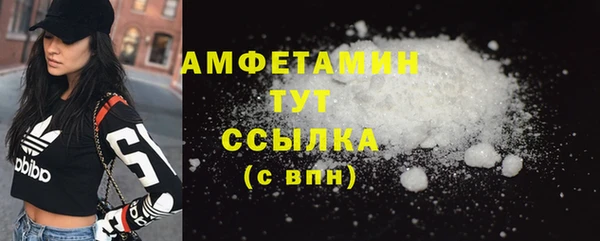 индика Вязники