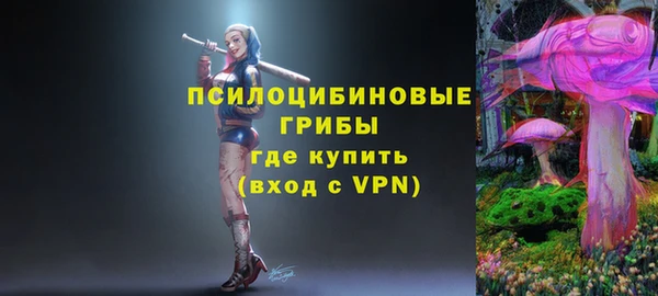 индика Вязники