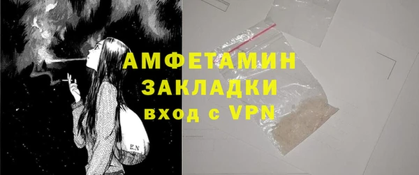 индика Вязники