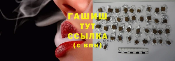 индика Вязники