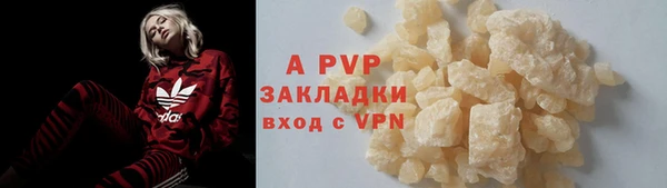 индика Вязники