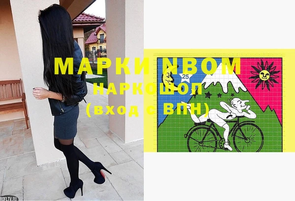 индика Вязники