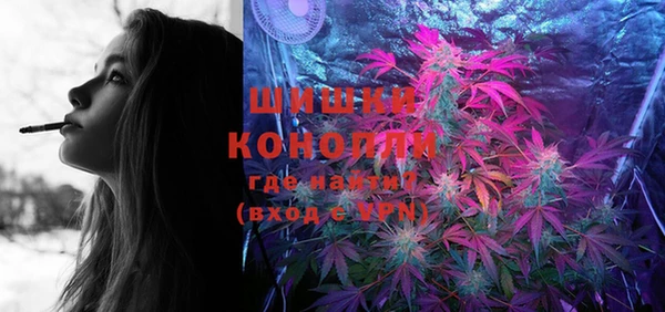 индика Вязники