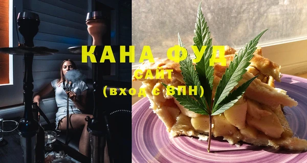 индика Вязники