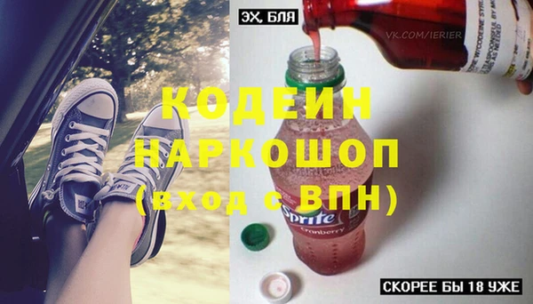 индика Вязники