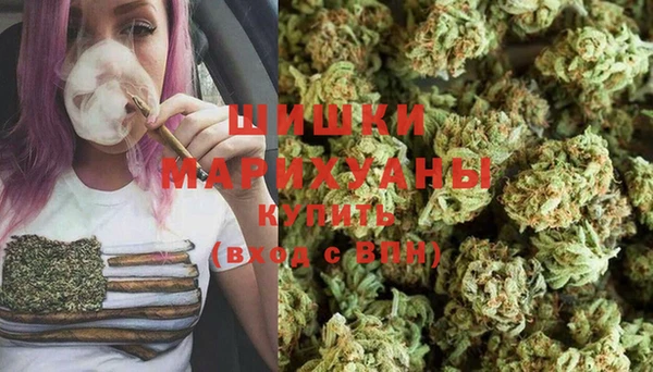 индика Вязники