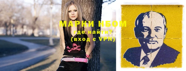 индика Вязники