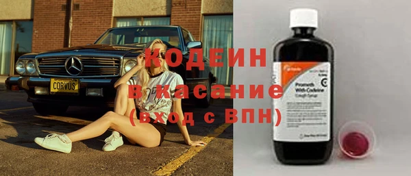 индика Вязники