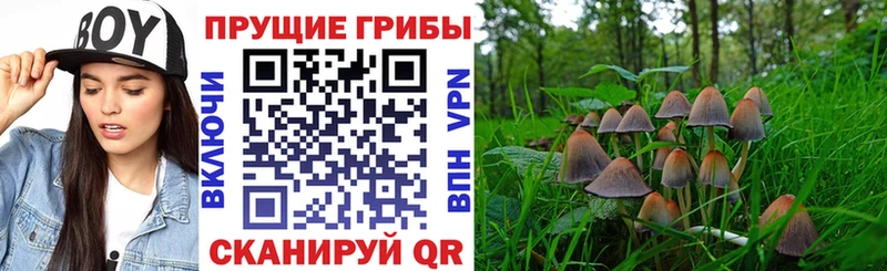 Галлюциногенные грибы мицелий  Елец 